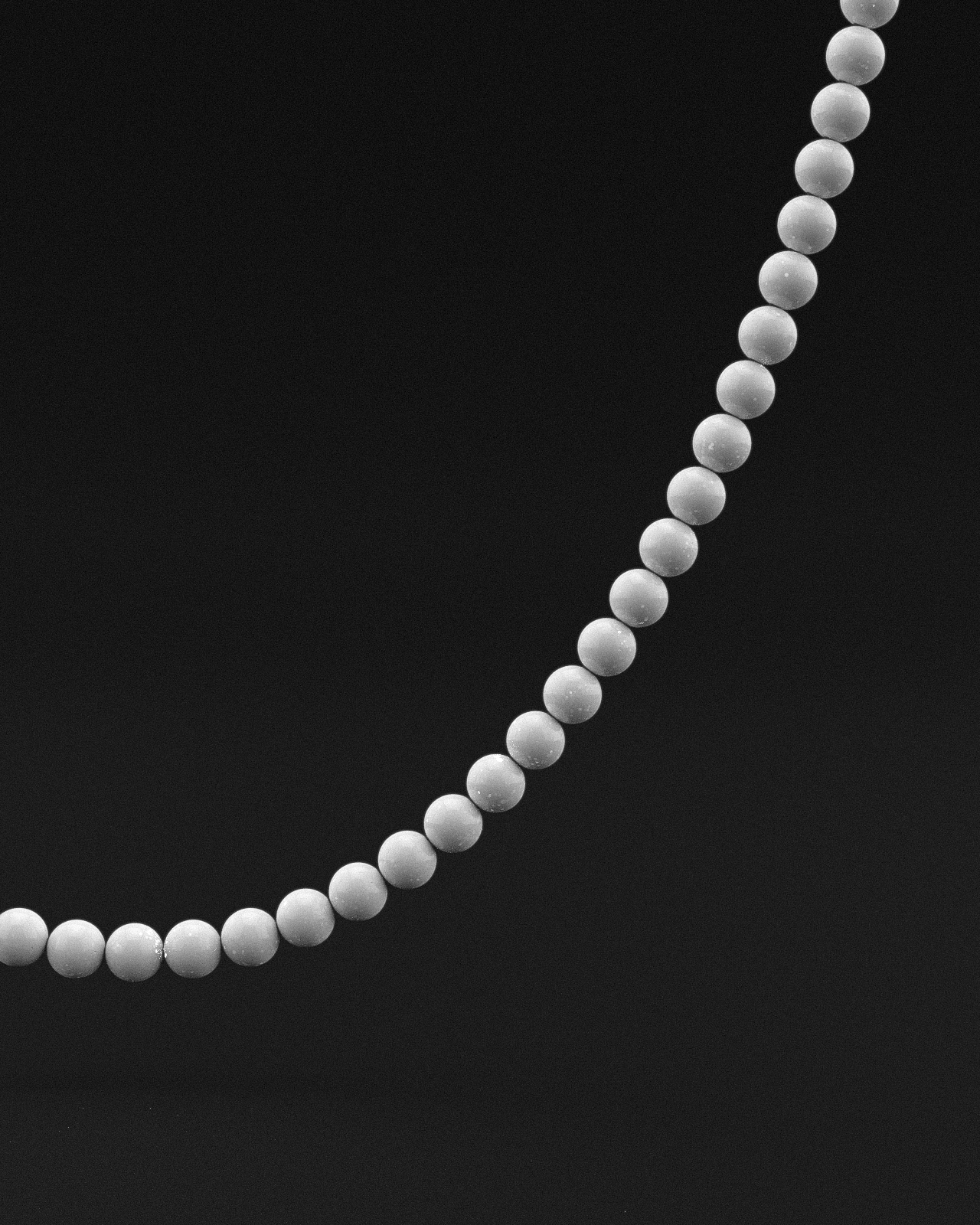 Collar Tridacna 6mm | Vértice