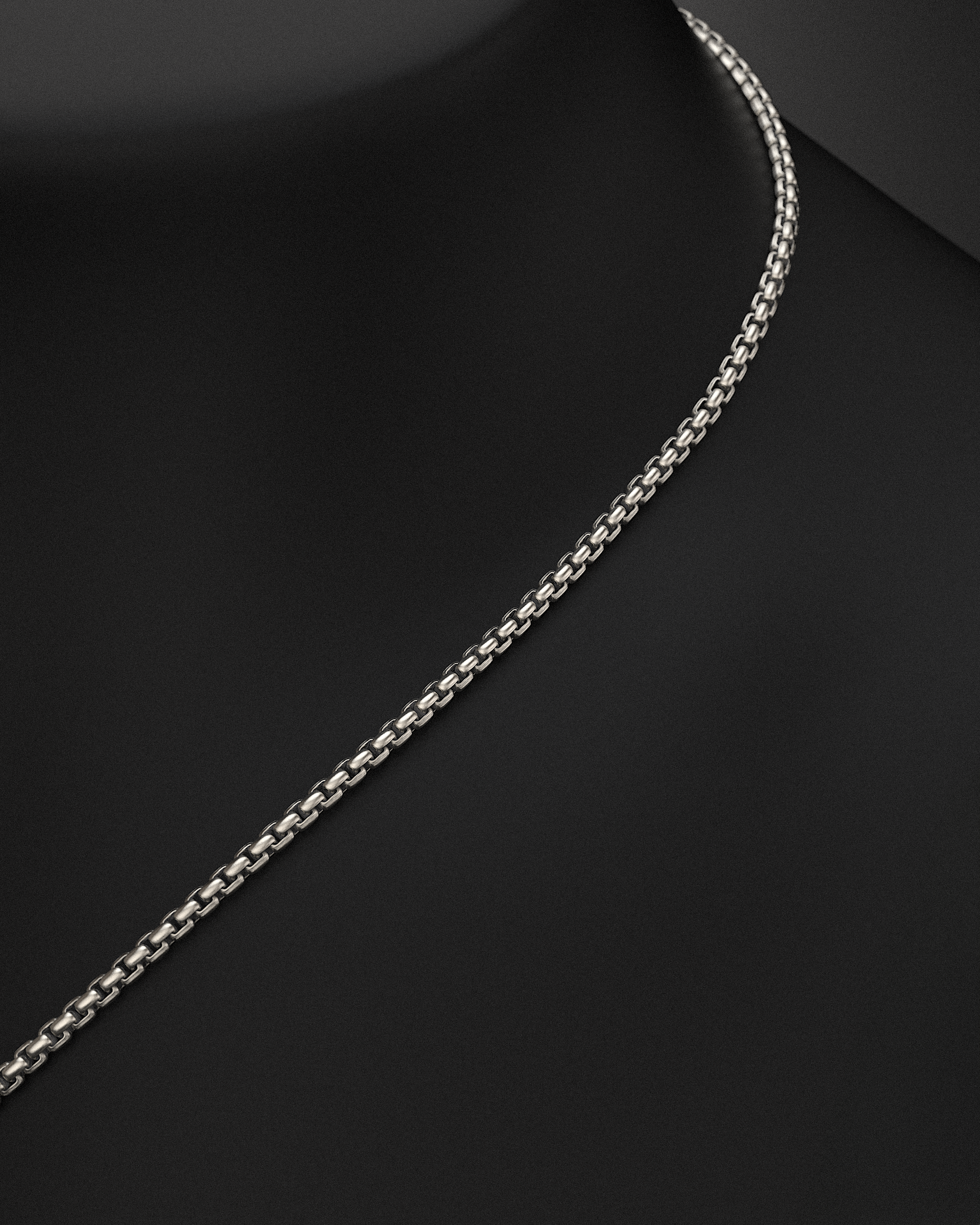 Pyramid Raw Circle Pendant + Round Box Chain