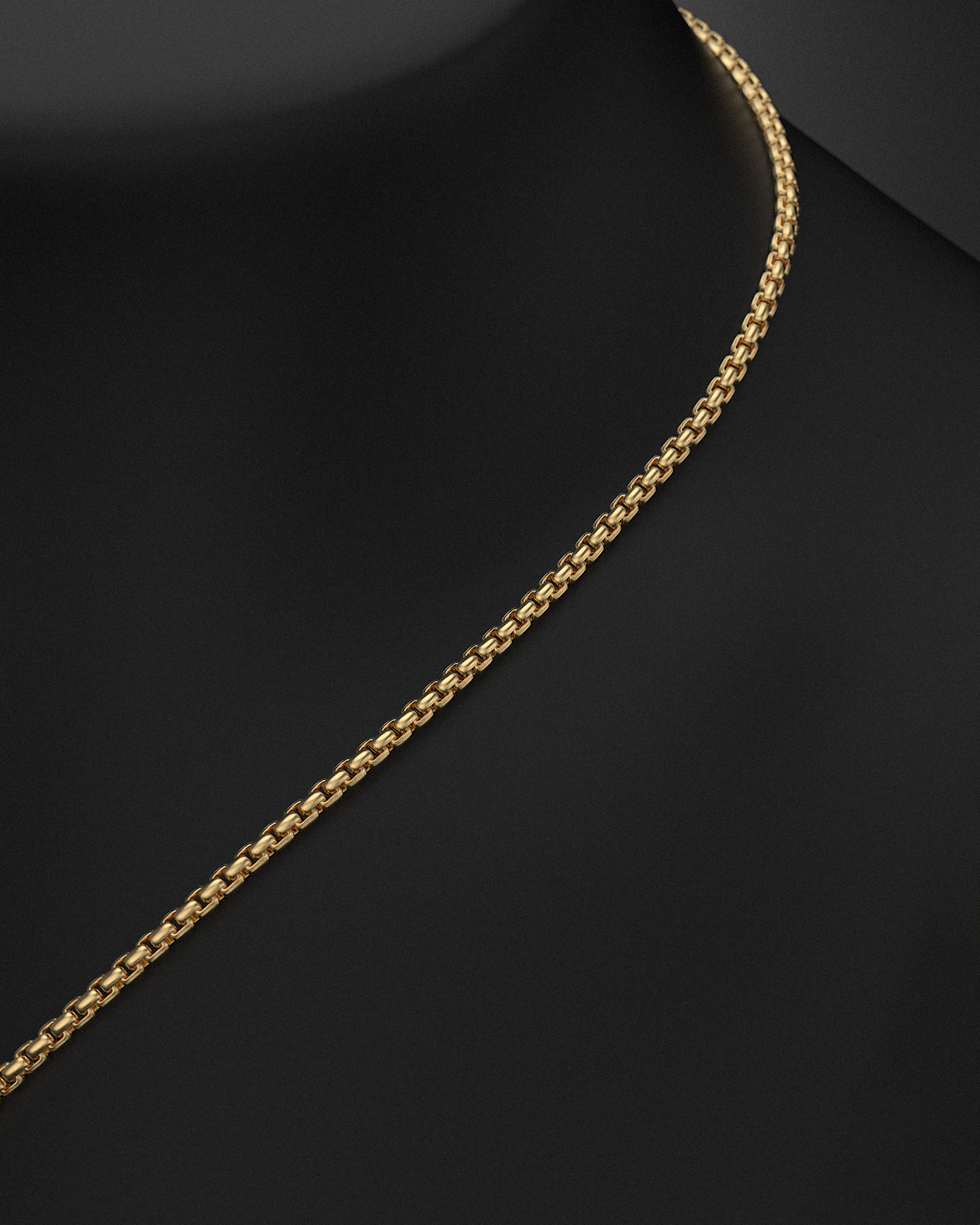 Pyramid Raw Circle Pendant + Round Box Chain