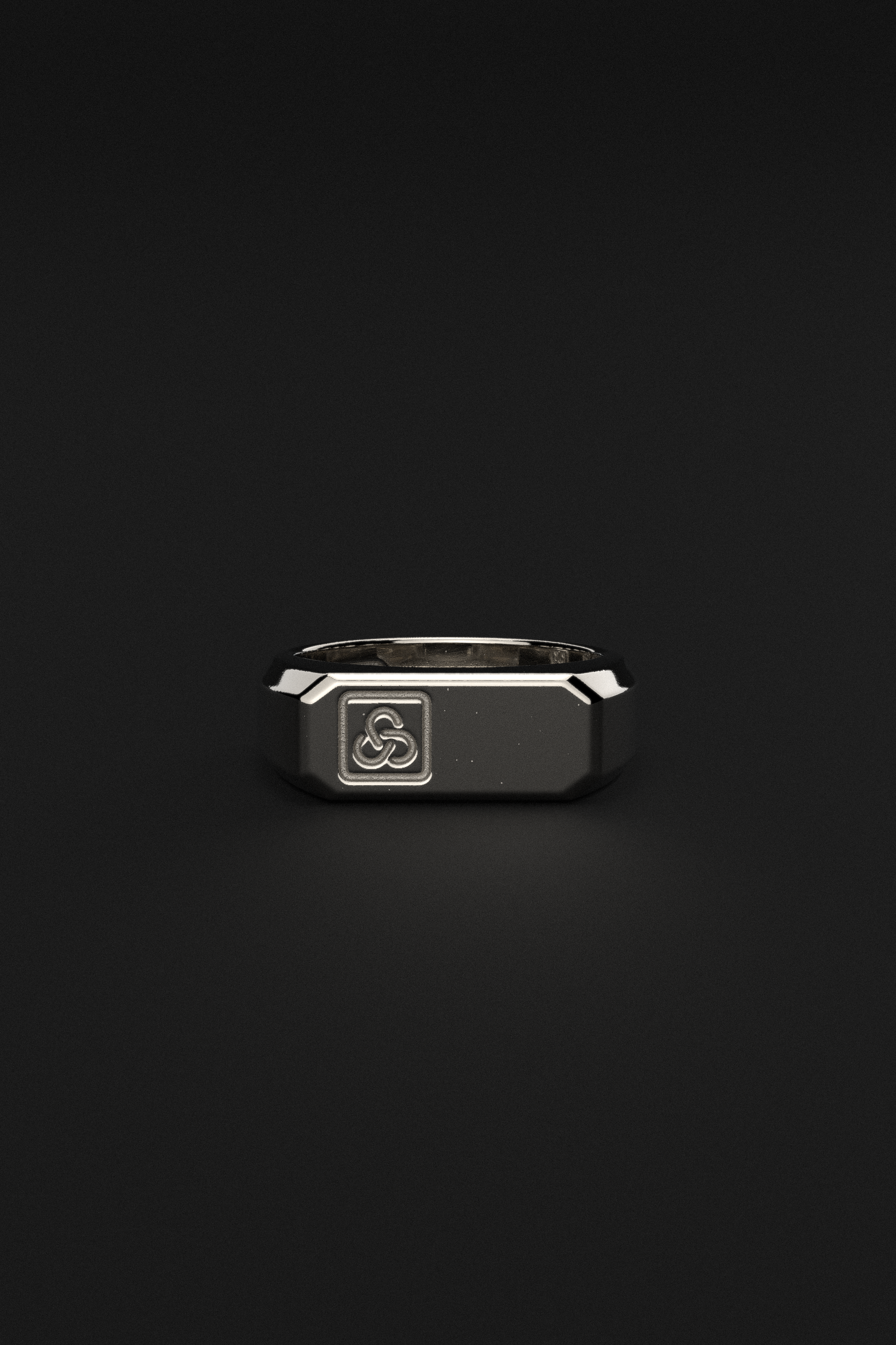 18K Solid White Gold Ring | Signature