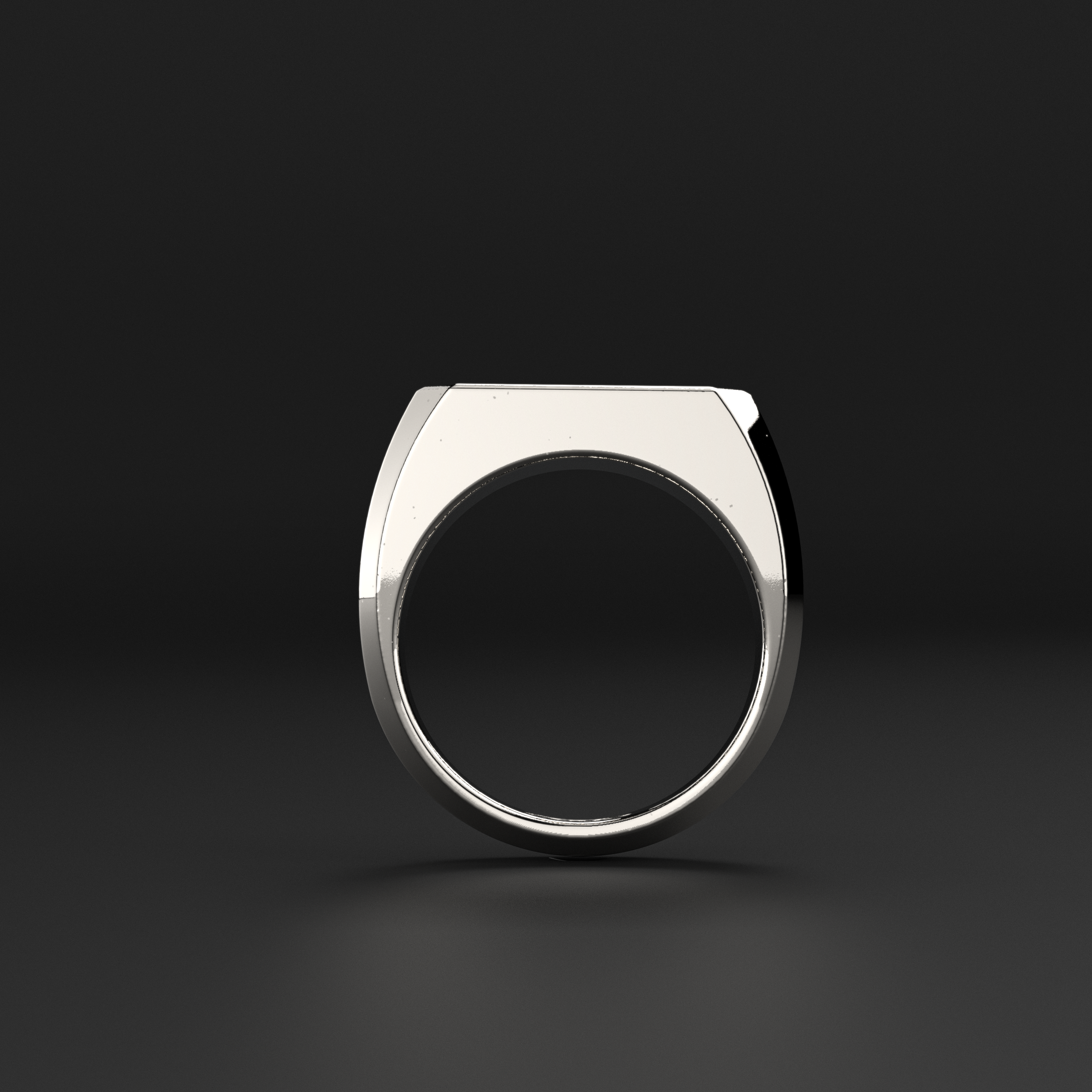 18K Solid White Gold Ring | Signature